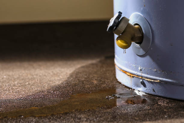 Best Water damage cleanup near me  in Takoma Park, MD