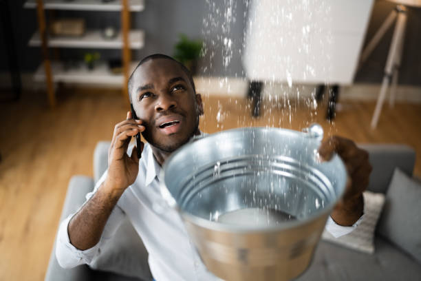  Takoma Park, MD Water damage restoration Pros