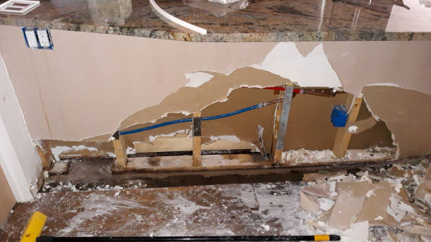 Best Ceiling water damage repair  in Takoma Park, MD
