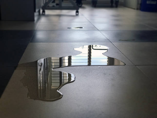 Best Commercial water damage restoration  in Takoma Park, MD