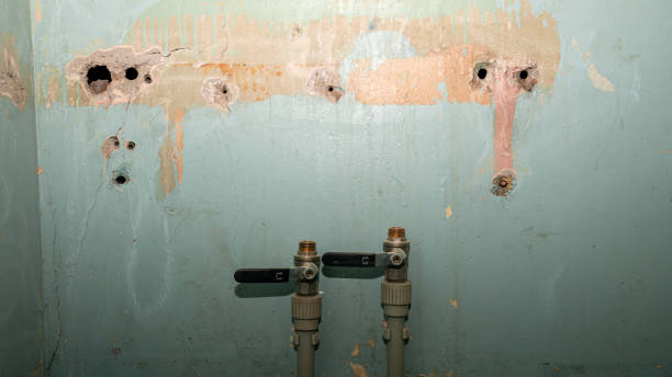 Best Emergency water damage restoration  in Takoma Park, MD