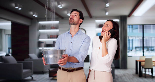 Best Flood damage cleanup  in Takoma Park, MD