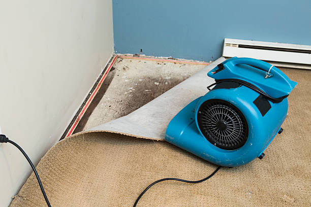 Best 24-hour water damage restoration  in Takoma Park, MD